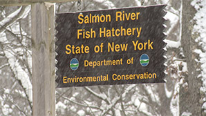 WPBS: Fishing Behind The Lines Selkirk Fish Hatchery