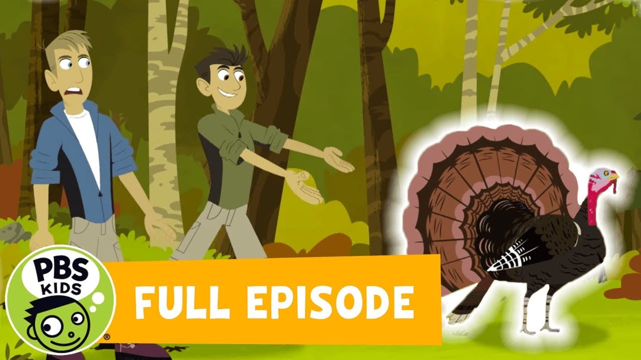 Wild kratts mother's on sale day full episode