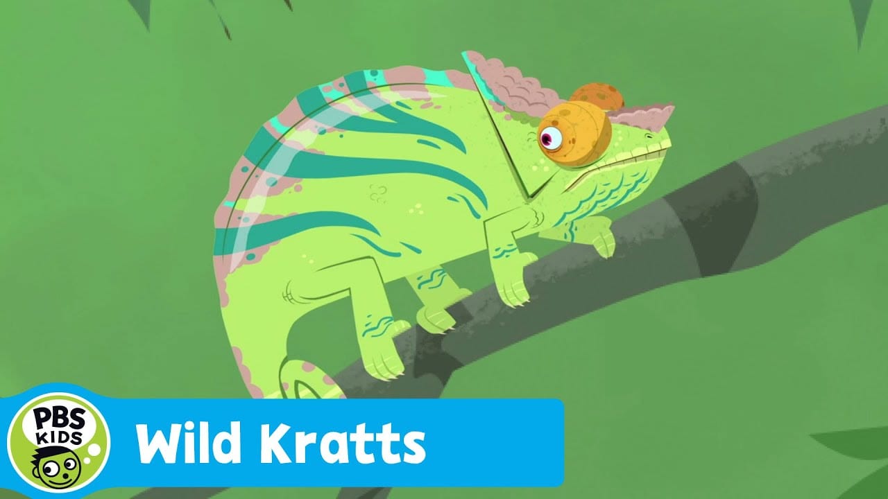 WILD KRATTS | Chameleon Camouflage | PBS KIDS | WPBS | Serving Northern