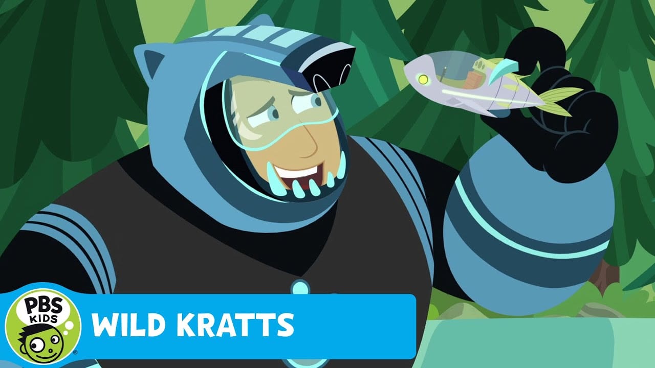 WILD KRATTS | Who's the Best Fisher Bear? | PBS KIDS | WPBS | Serving