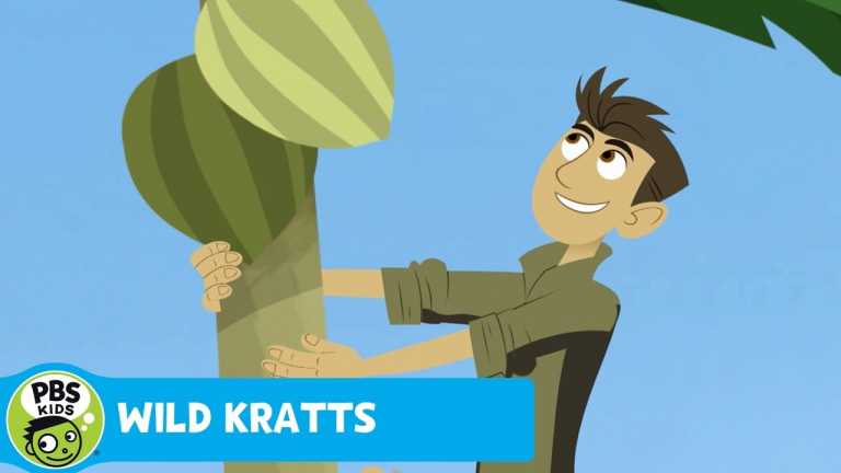 wild kratts koki