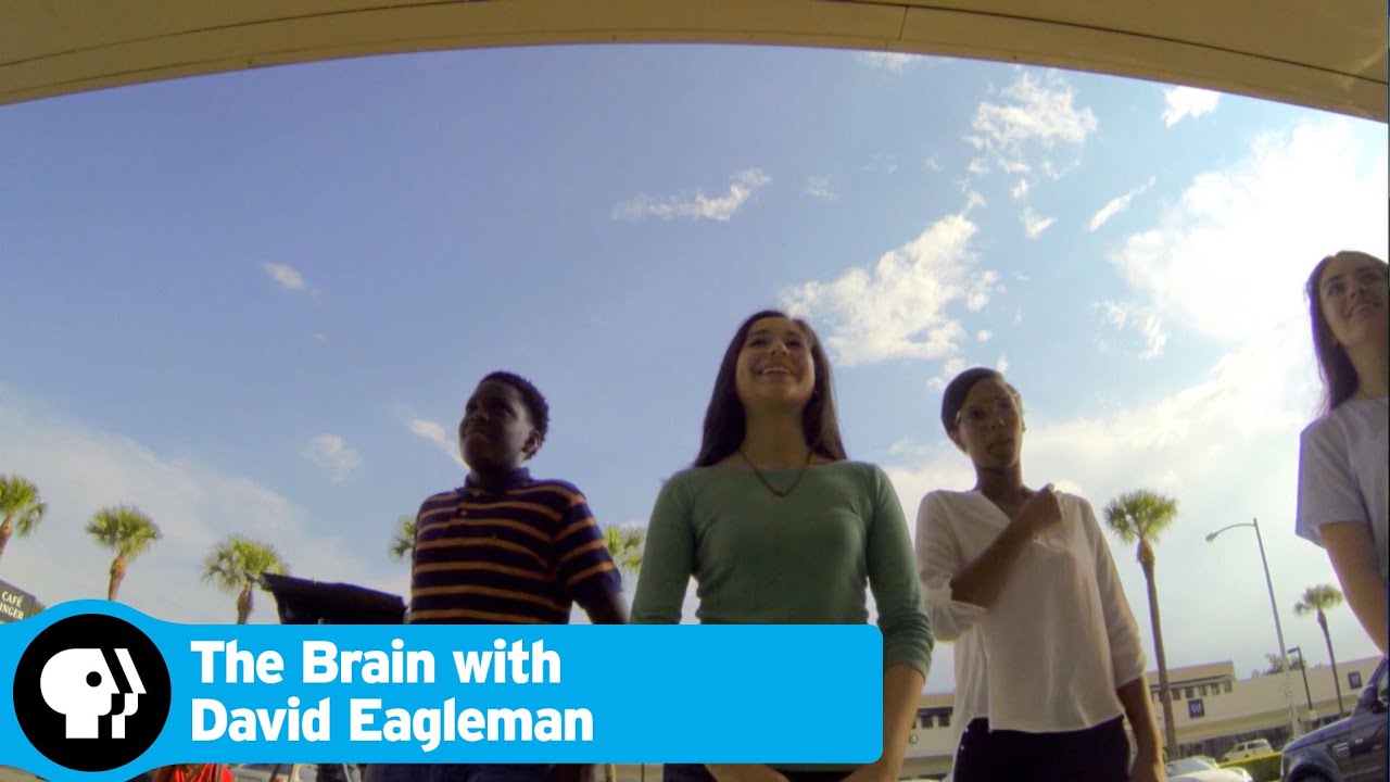 The Brain With David Eagleman Stressed Teens Pbs Wpbs Serving Northern New York And 6680