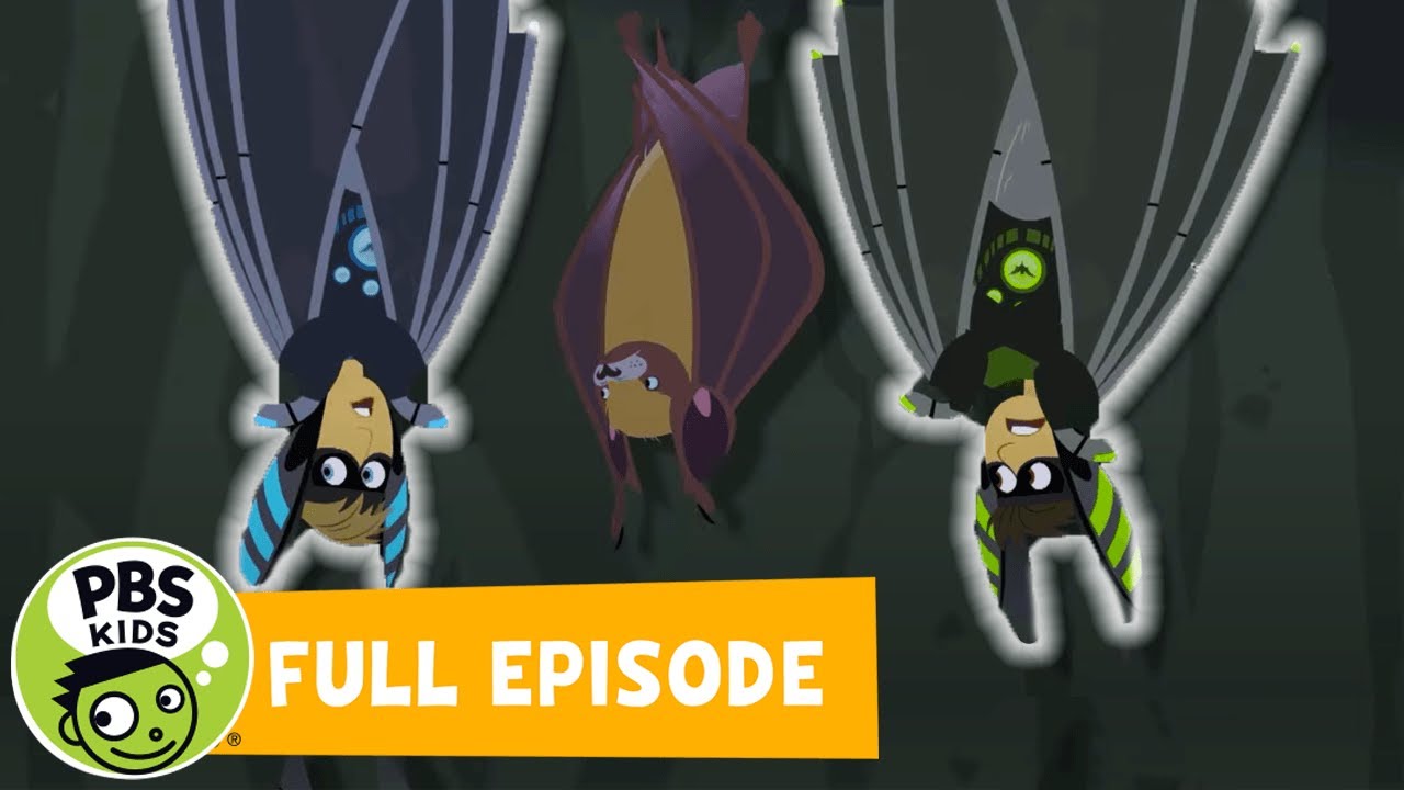 Wild Kratts FULL EPISODE A Bat in the Brownies PBS KIDS WPBS