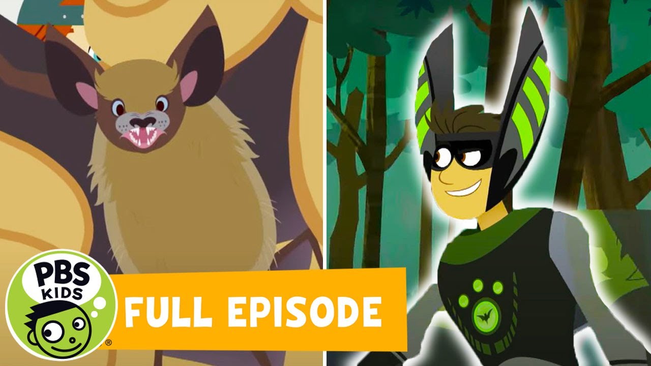 Wild Kratts FULL EPISODE 🦇 A Bat in the Brownies 🦇 PBS KIDS WPBS